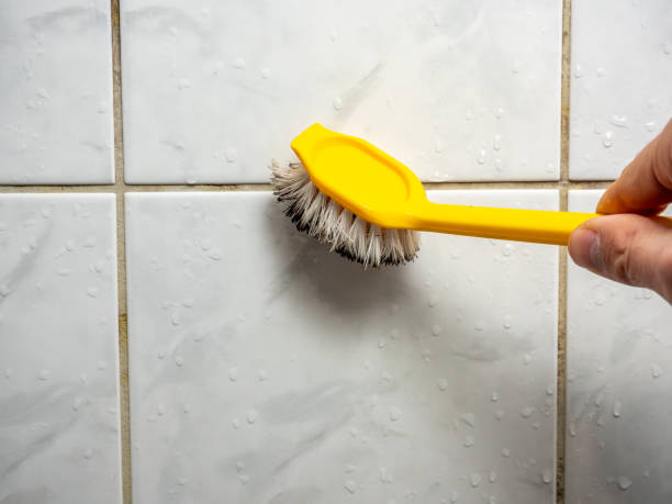 Best Mold Testing  in Tahlequah, OK