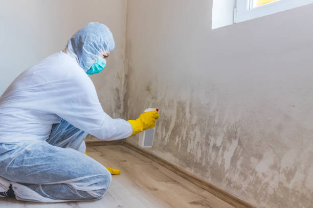 Water Damage Restoration in Tahlequah, OK