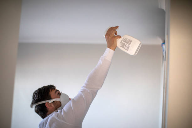 Best Commercial Mold Removal  in Tahlequah, OK