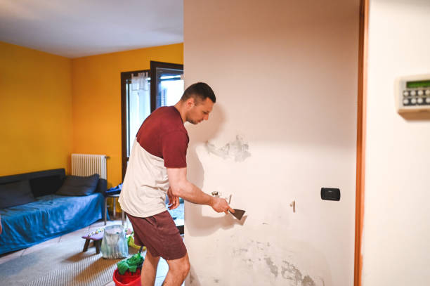 Best Certified Mold Removal  in Tahlequah, OK