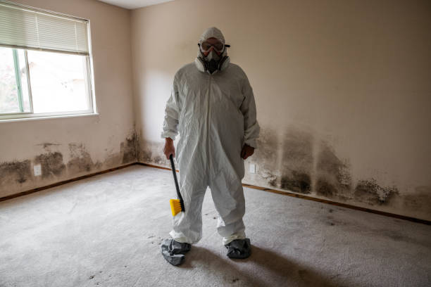 Best Mold Removal Near Me  in Tahlequah, OK